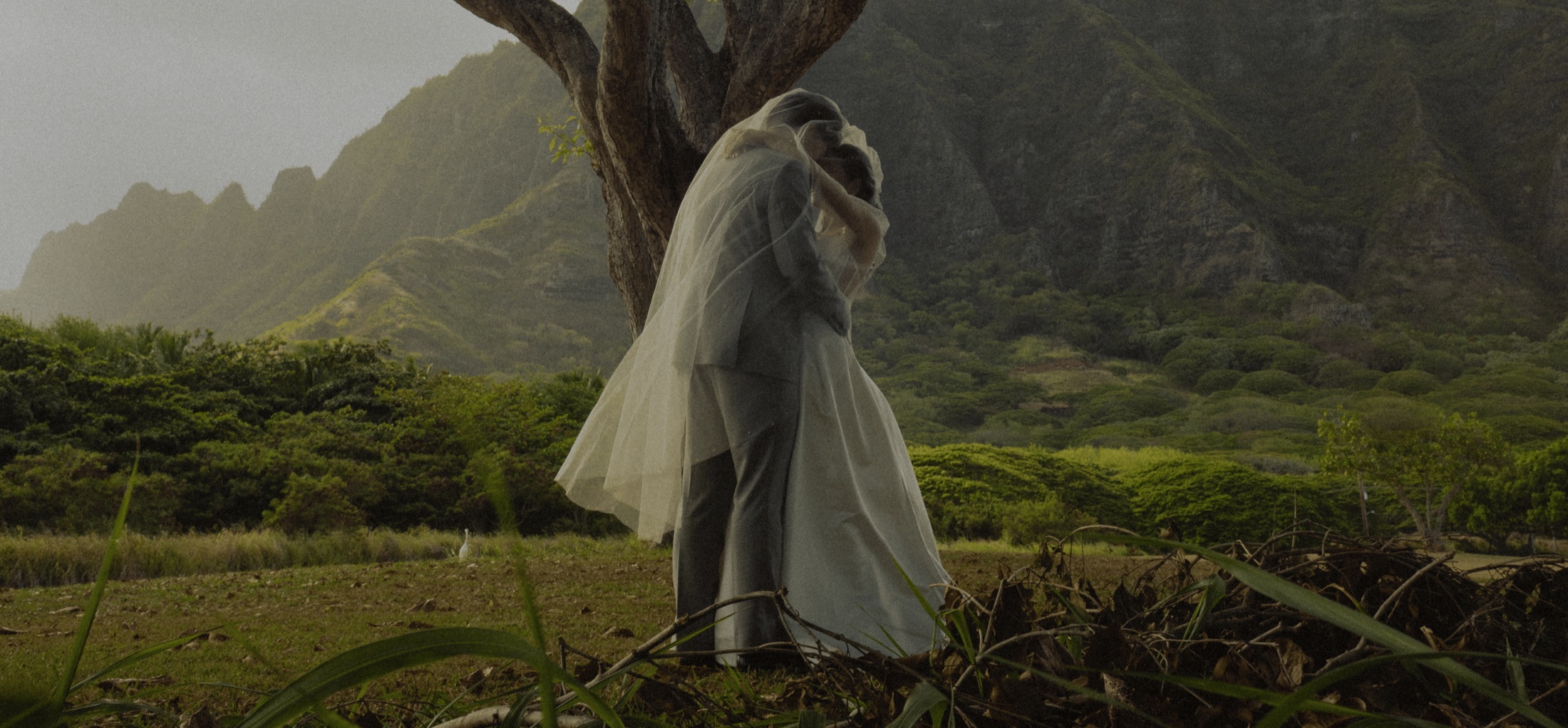 Newlyweds embracing beneath a tree with mountains behind them